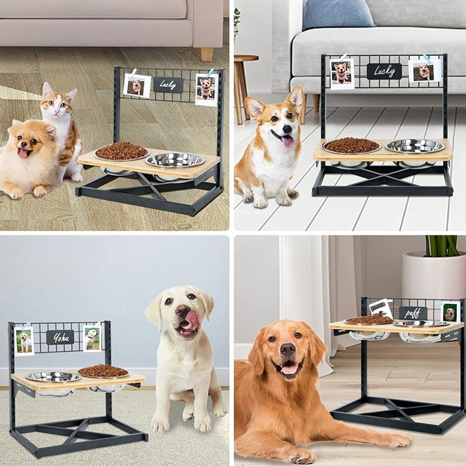 Verhoogde Hondenbak verstelbare voerbak met naamplaat voor kleine en middelgrote huisdieren